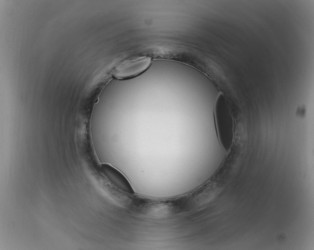 X0000112790456200908210943