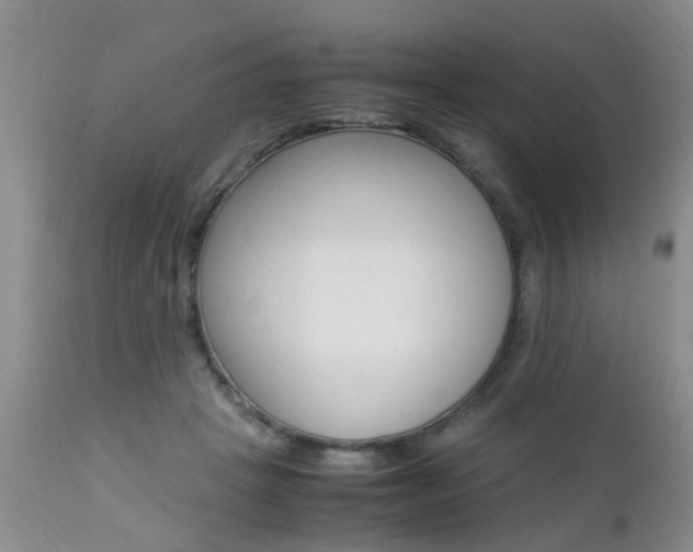 X0000112790457200908210943