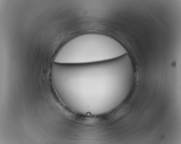 X0000112790458200908210943