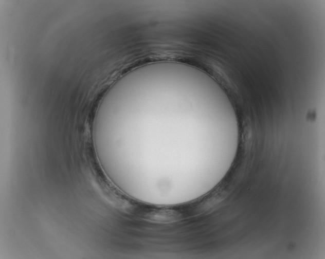 X0000112790459200908210943
