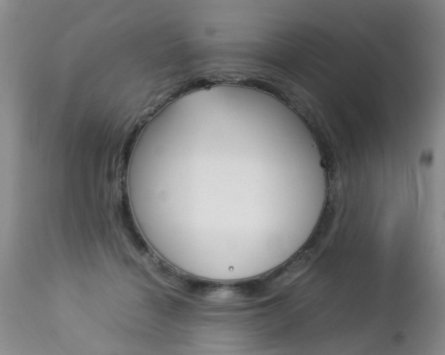 X0000112790460200908210943