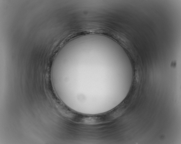 X0000112790461200908210943