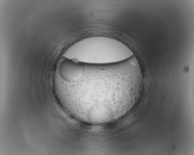 X0000112790462200908210943