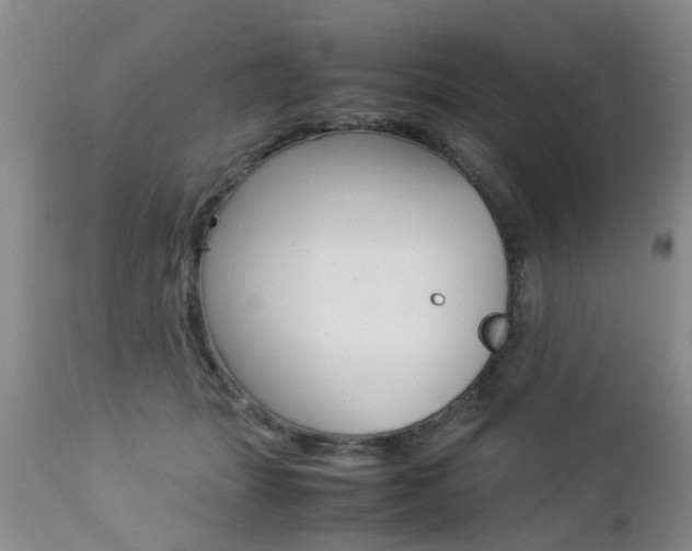 X0000112790463200908210943