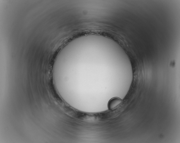 X0000112790464200908210943