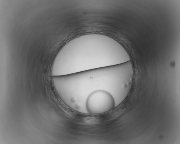 X0000112790465200908210943