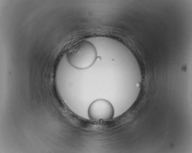 X0000112790466200908210943
