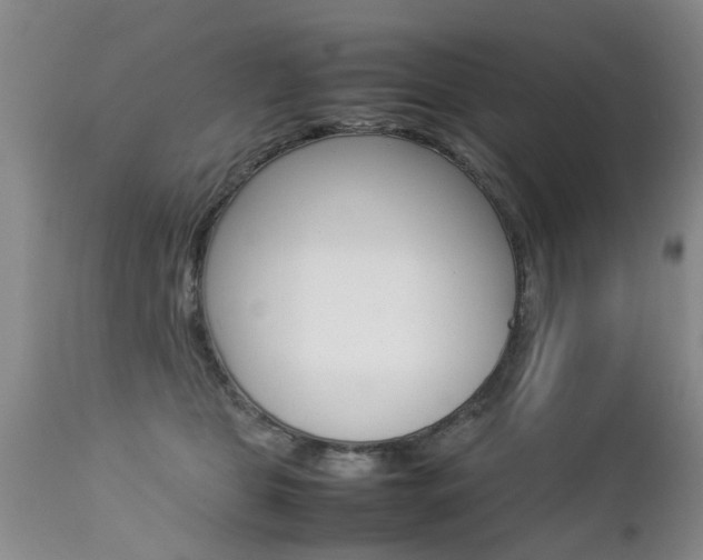 X0000112790469200908210943