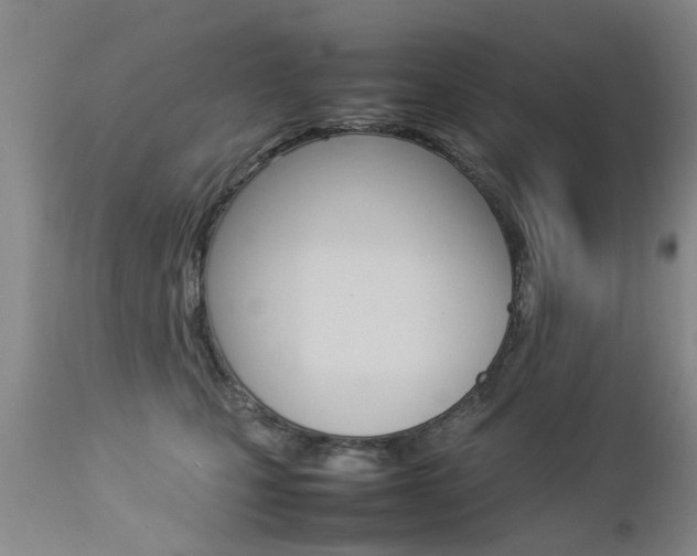 X0000112790471200908210943