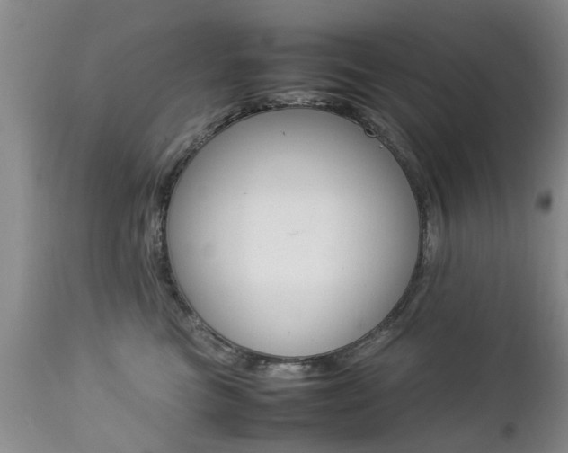 X0000112790473200908210943