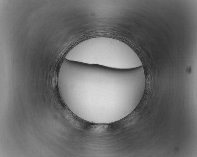 X0000112790474200908210943