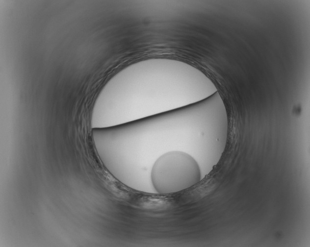 X0000112790475200908210943