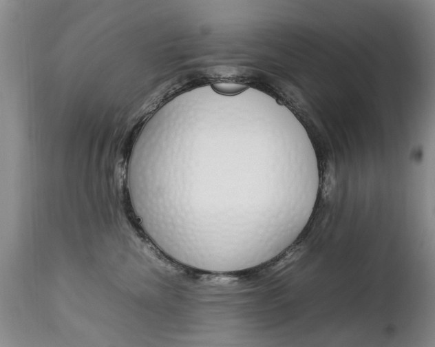 X0000112790476200908210943