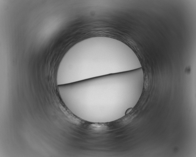 X0000112790477200908210943