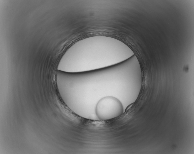 X0000112790478200908210943