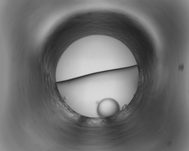 X0000112790479200908210943