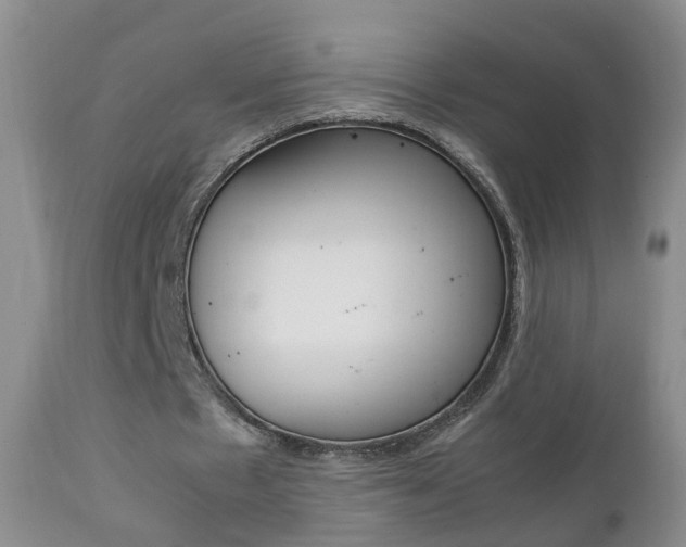 X0000112790481200908210943