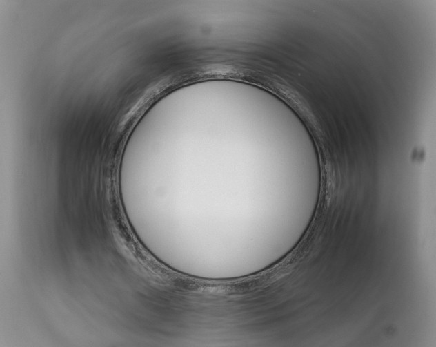 X0000112790482200908210943