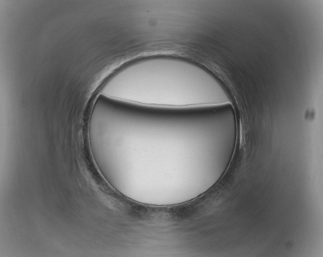 X0000112790483200908210943