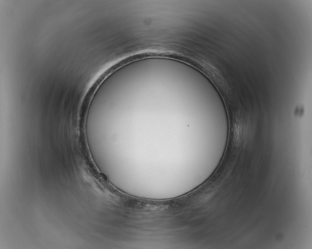 X0000112790484200908210943