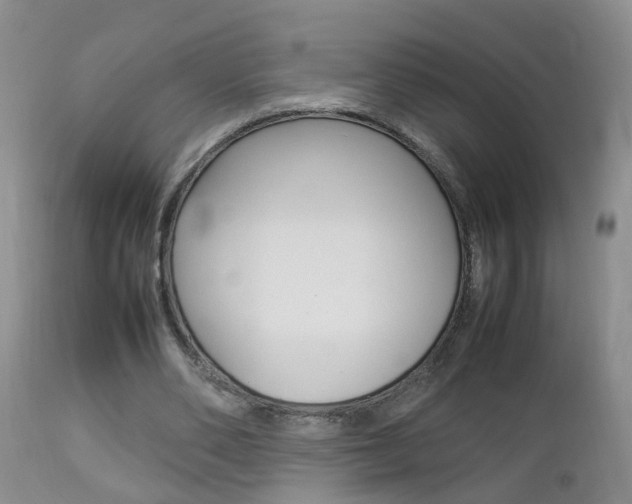 X0000112790486200908210943
