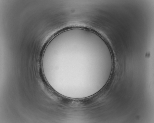 X0000112790487200908210943