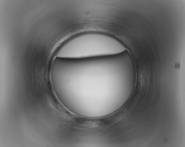 X0000112790488200908210943