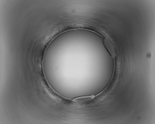 X0000112790489200908210943