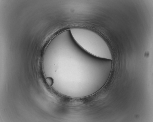 X0000112790491200908210943