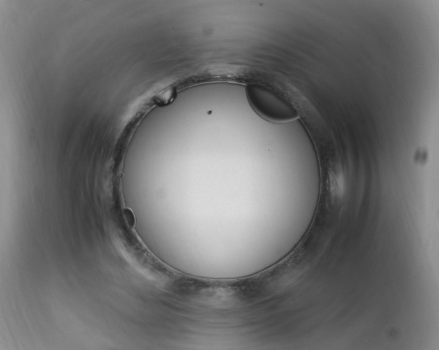 X0000112790492200908210943