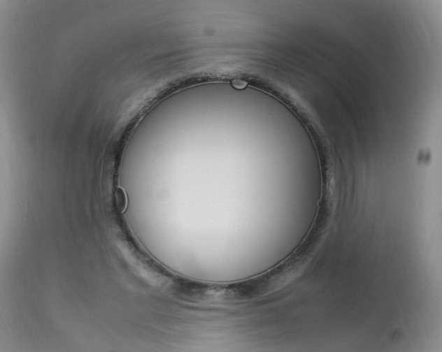 X0000112790493200908210943