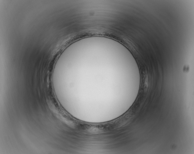 X0000112790494200908210943