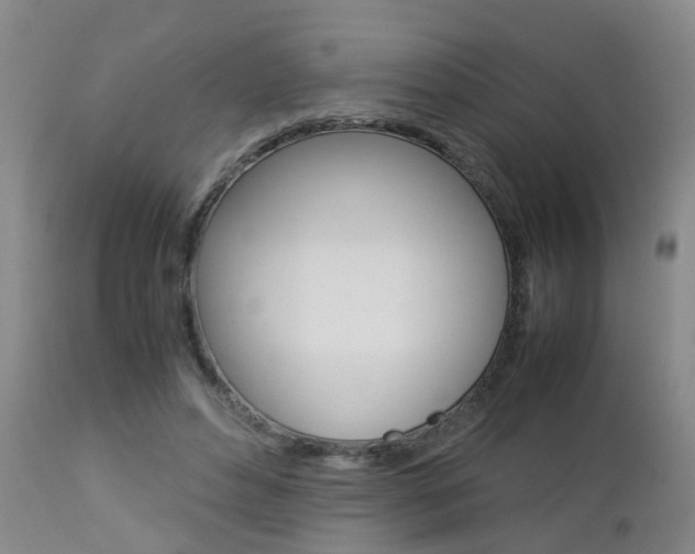 X0000112790496200908210942