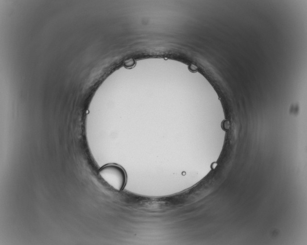 X0000112790497200908210942