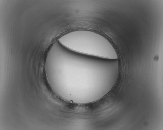 X0000112790499200908210942