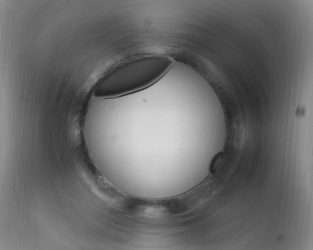 X0000112790500200908210942