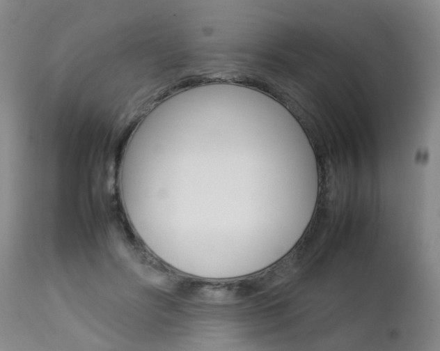 X0000112790502200908210942