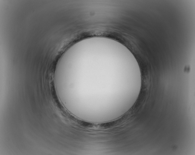 X0000112790503200908210942