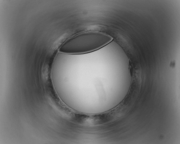 X0000112790504200908210942