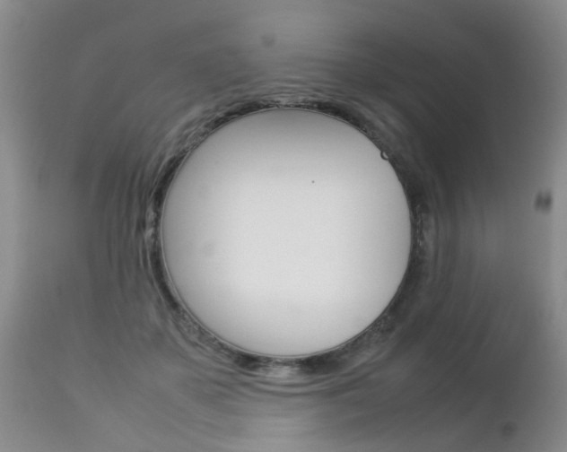 X0000112790507200908210942