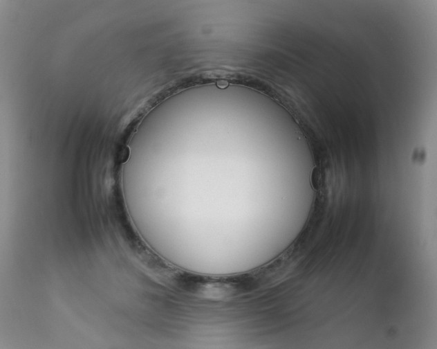 X0000112790508200908210942