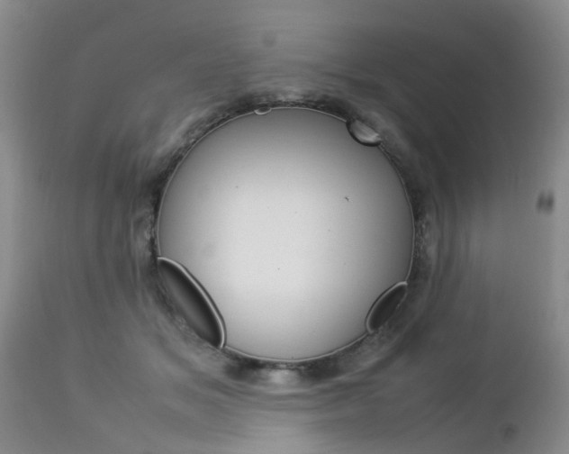 X0000112790509200908210942