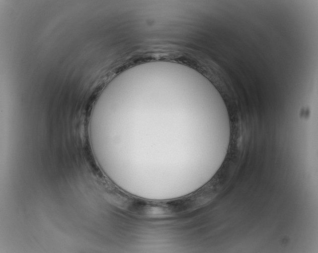 X0000112790510200908210942
