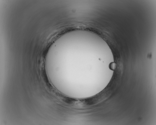 X0000112790511200908210942