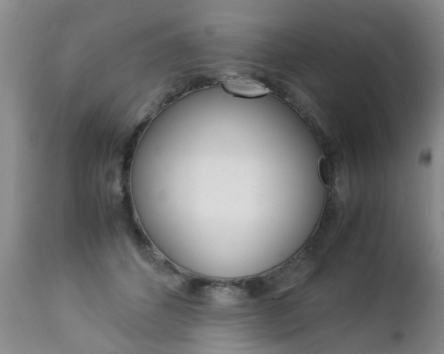 X0000112790512200908210942