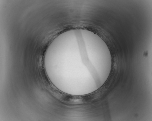 X0000112790514200908210942