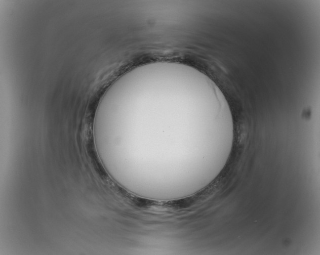 X0000112790515200908210942