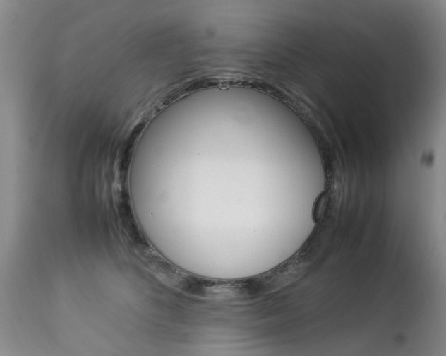 X0000112790516200908210942