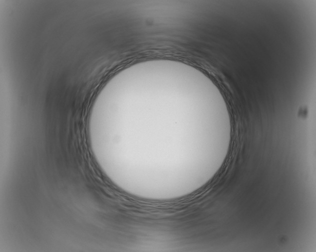 X0000112790517200908210942
