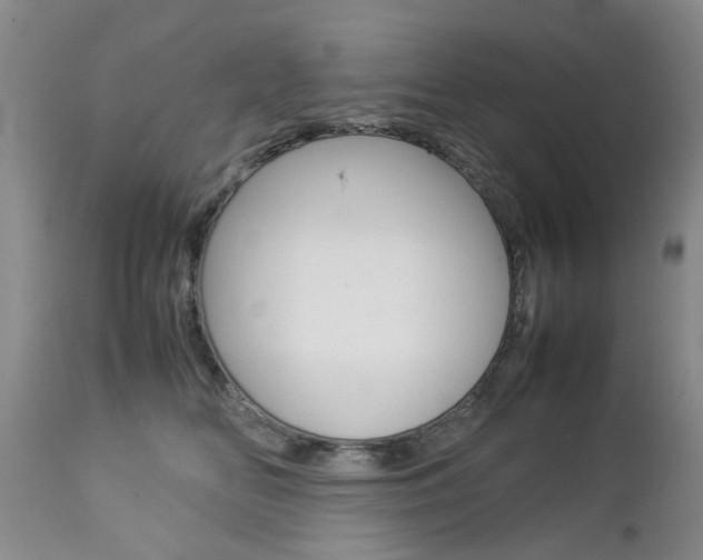 X0000112790518200908210942